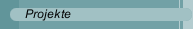 Projekte